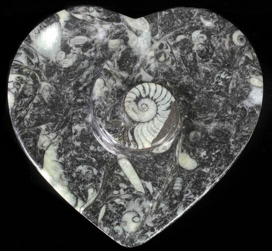Heart Shaped Fossil Goniatite Dish #61267